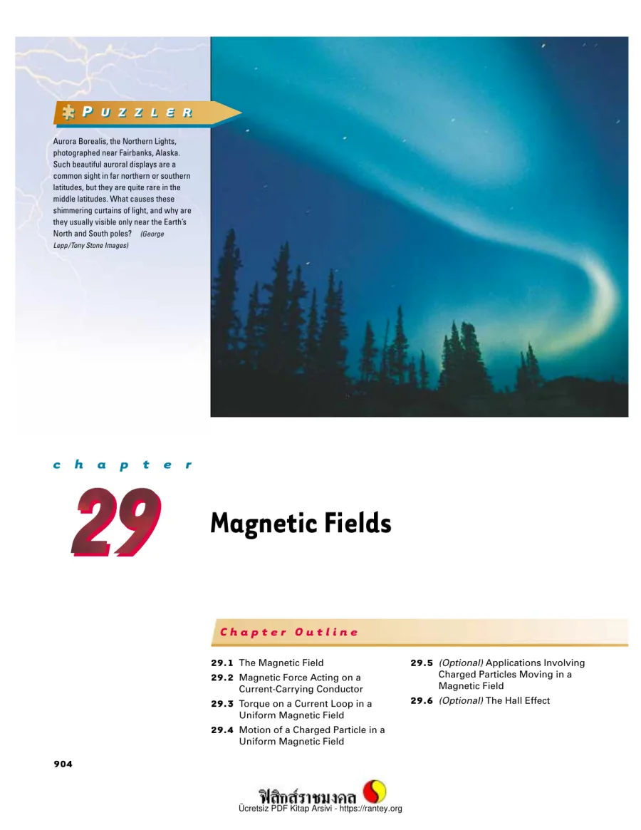 Magnetic Fields kapak görseli
