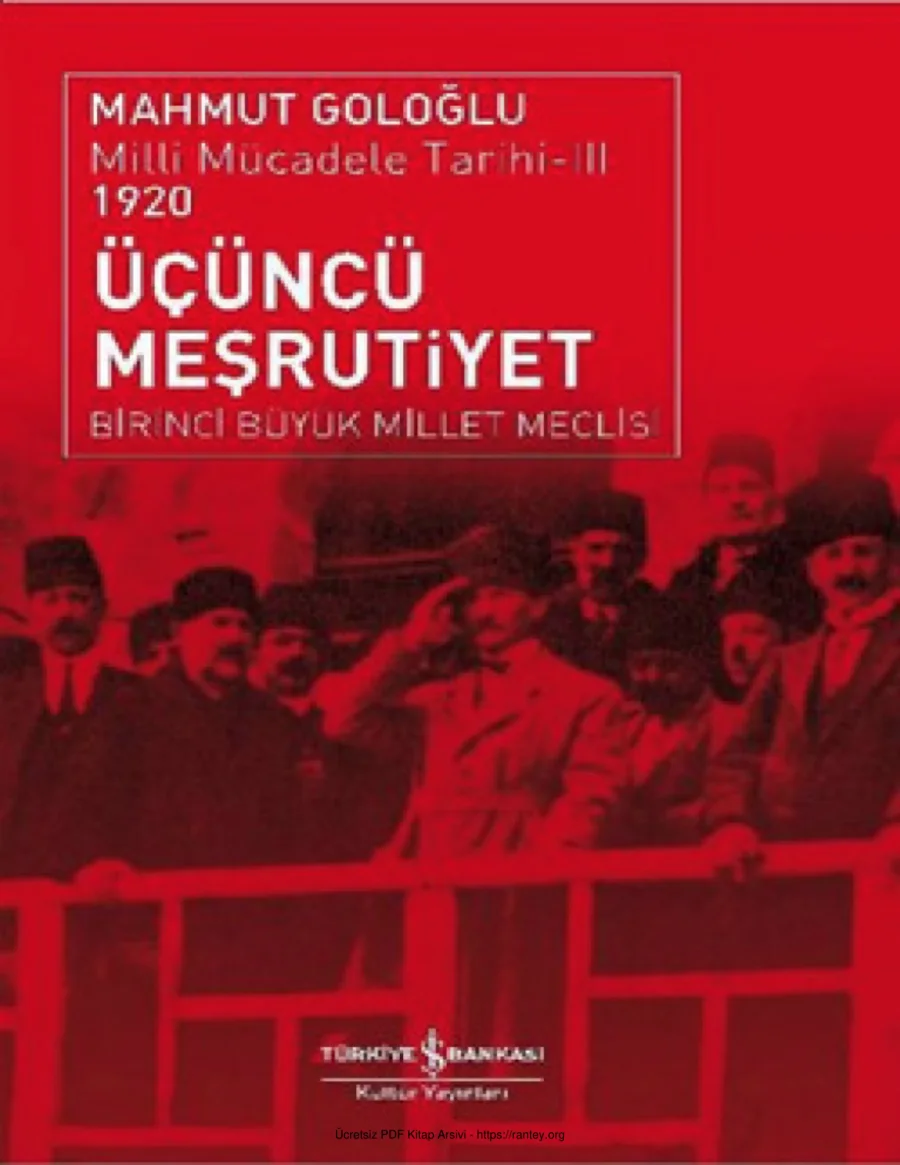 Mahmut Goloğlu kapak görseli