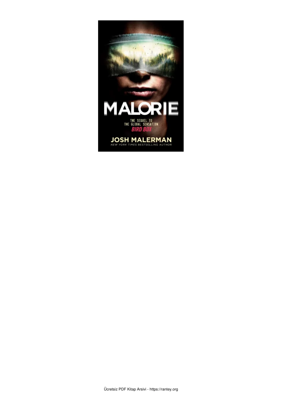 Malorie Josh Malerman kapak görseli