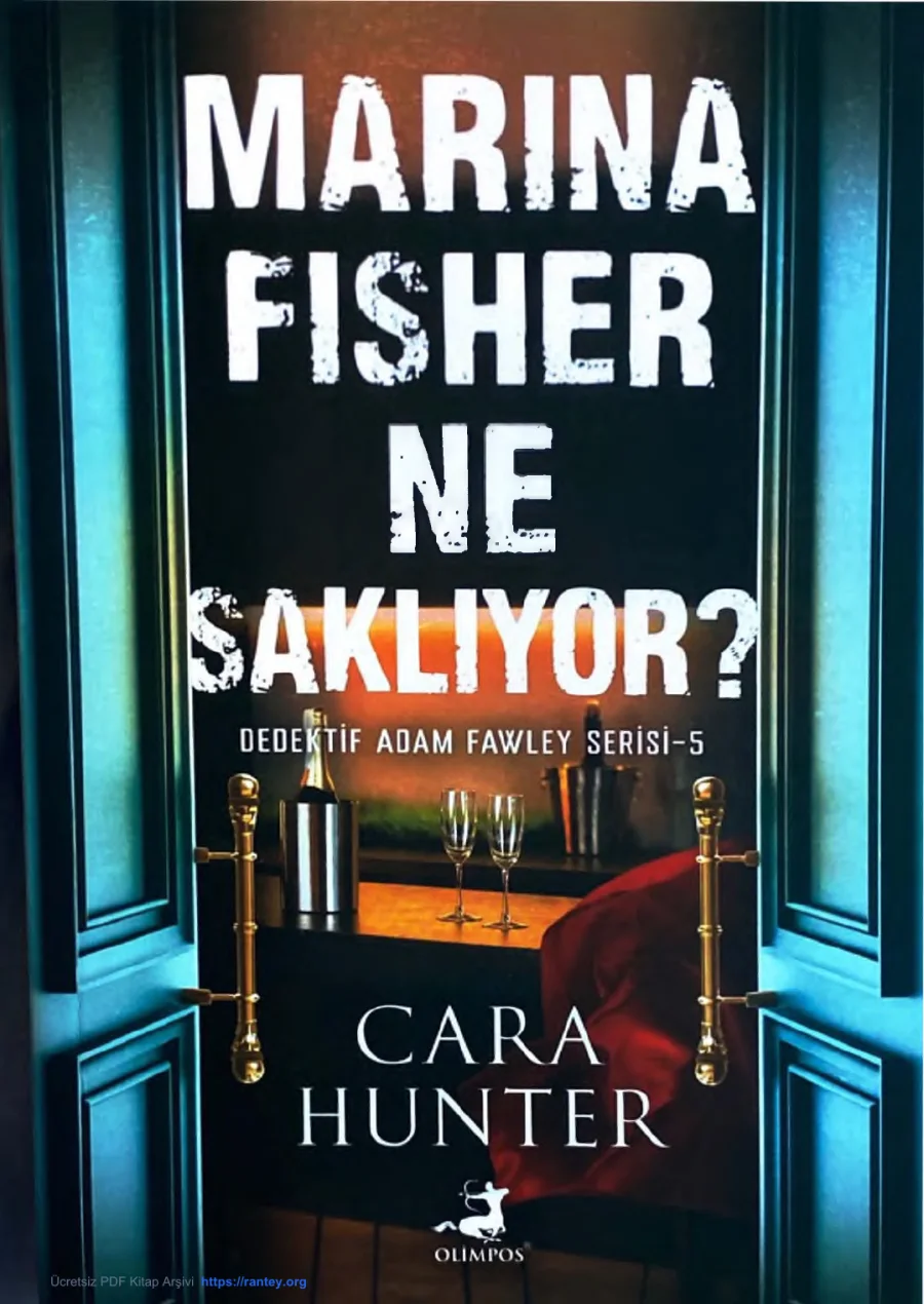 Marina Fisher Ne Saklıyor? kapak görseli