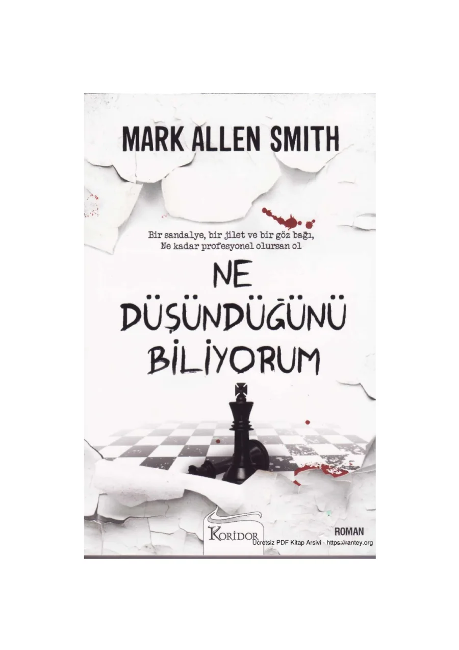 Mark Allen Smith Ne Düşündüğünü Biliyorum kapak görseli