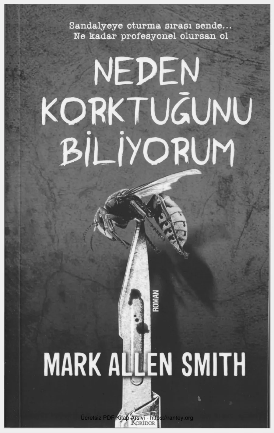 Mark Allen Smith Neden Korktuğunu Biliyorum kapak görseli
