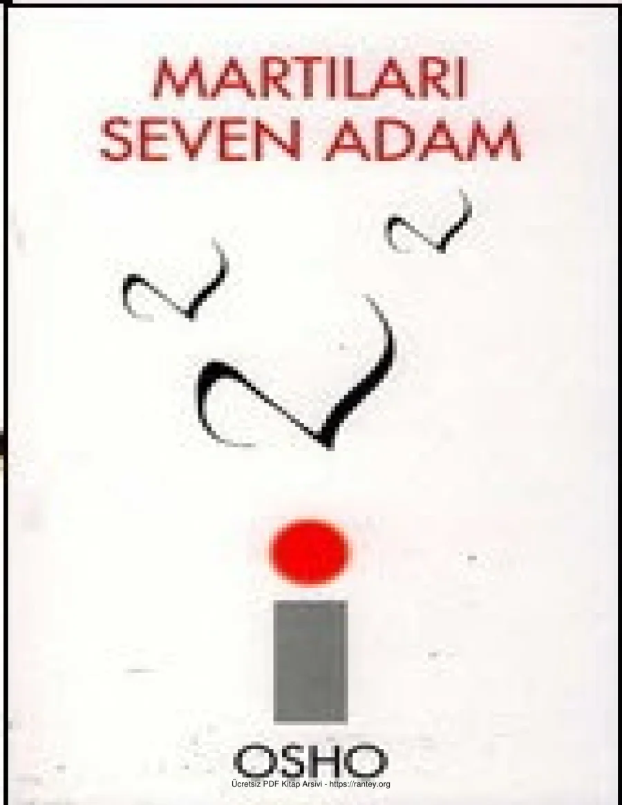 Martıları Seven Adam kapak görseli