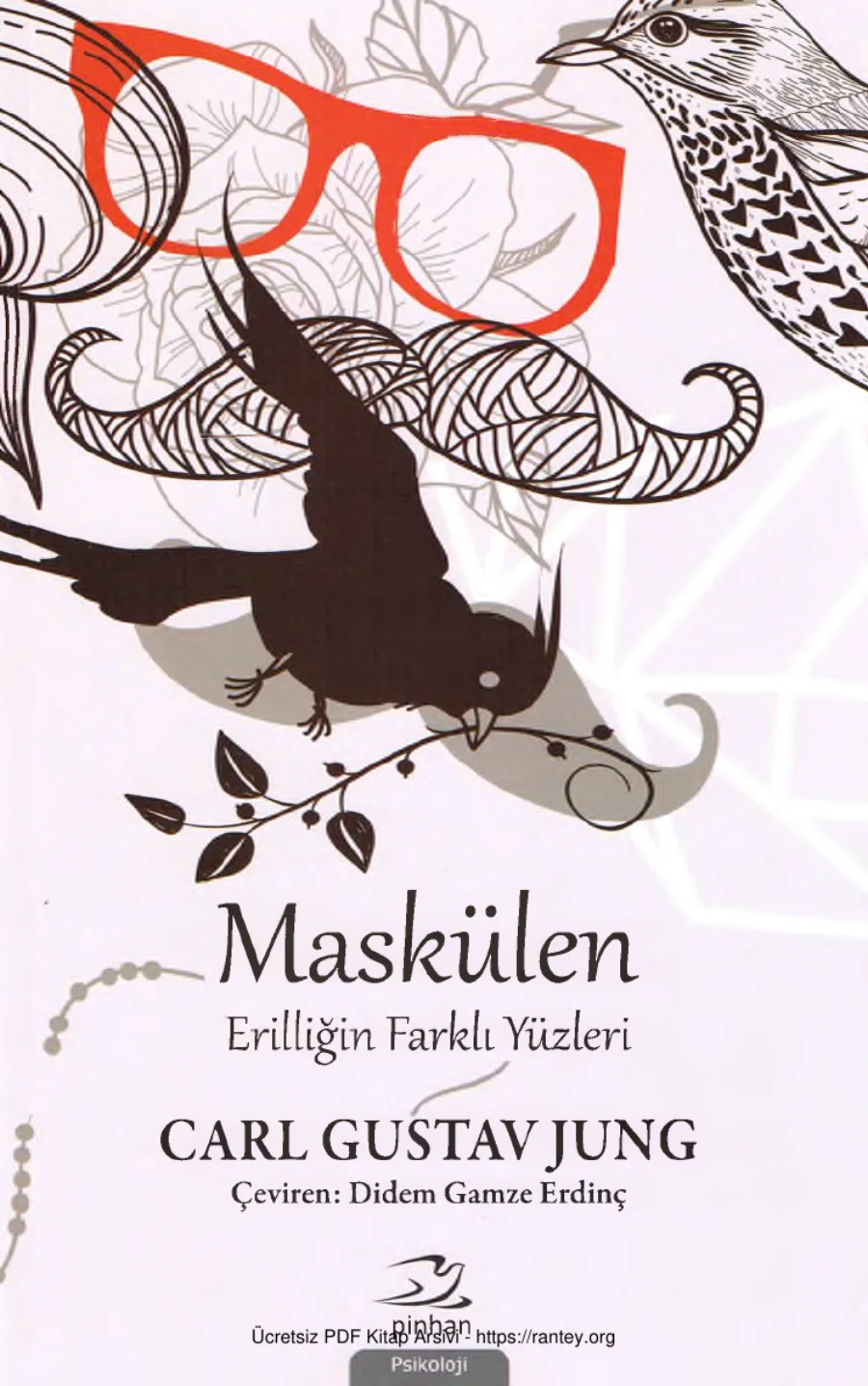 Maskülen Erilliğin Farklı Yüzleri Pinhan Yayınları kapak görseli