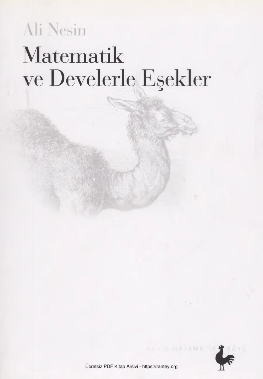 Matematik ve Develerle Eşekler kapak görseli