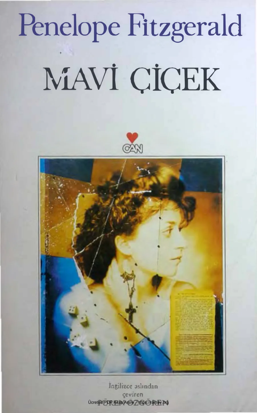 Mavi Çiçek kapak görseli