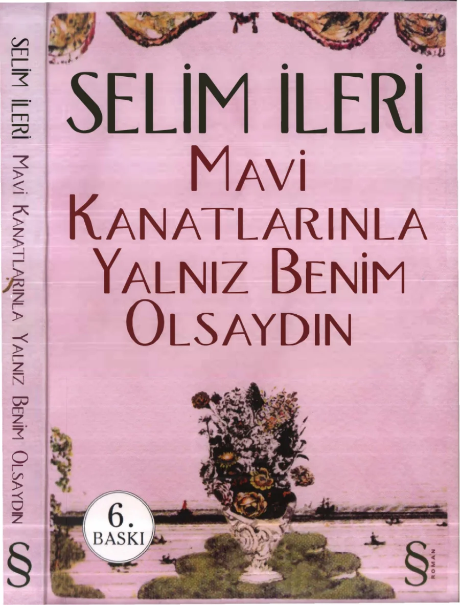 Mavi Kanatlarınla Yalnız Benim Olsaydın kitap kapağı