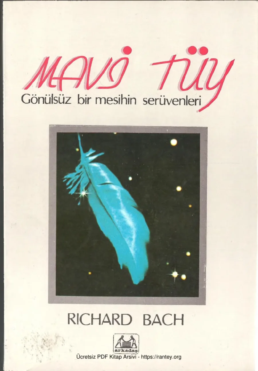 Mavi Tüy kapak görseli