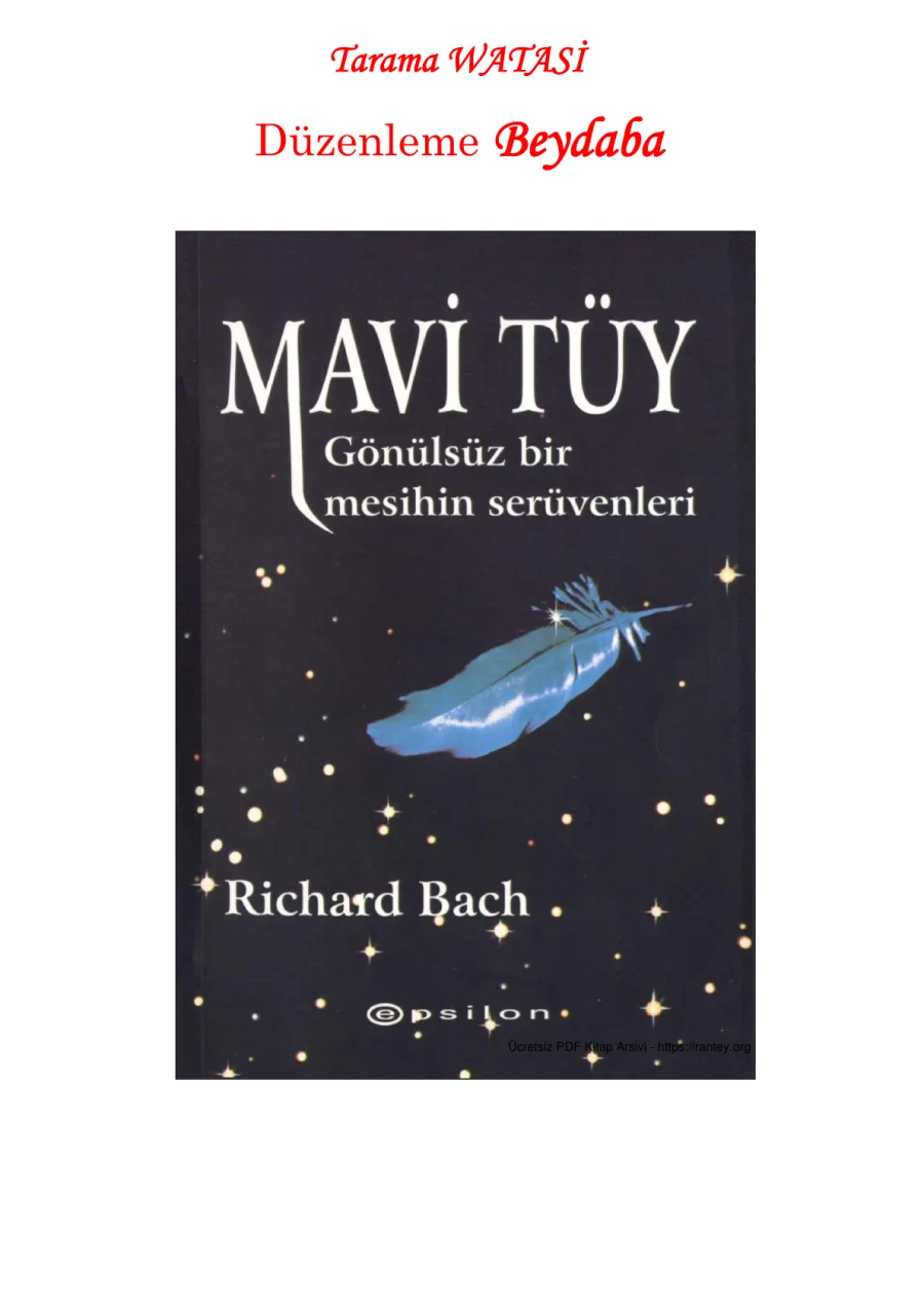 Mavi Tüy kapak görseli