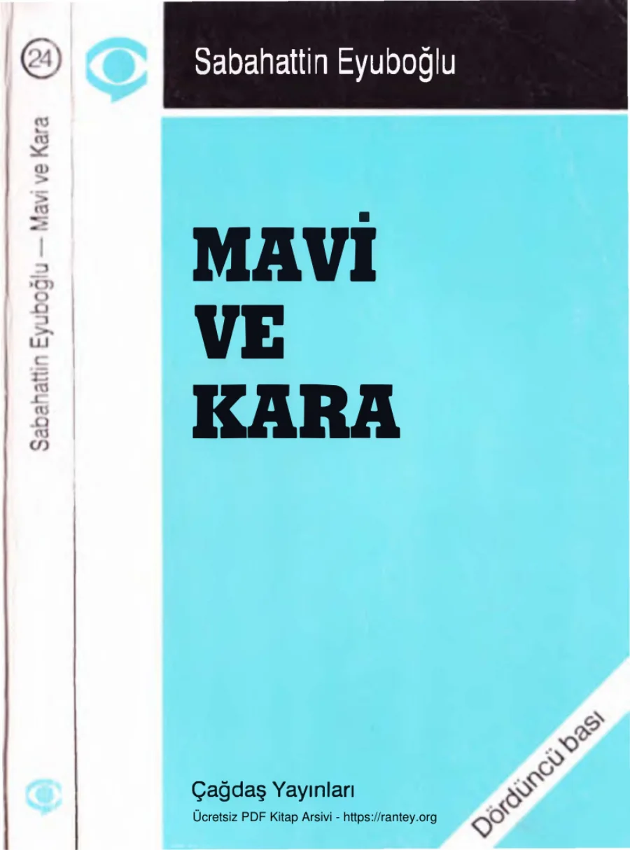 Mavi ve Kara kapak görseli