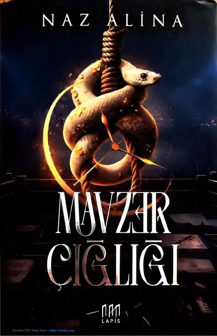 Mavzer Çığlığı 1 kapak görseli
