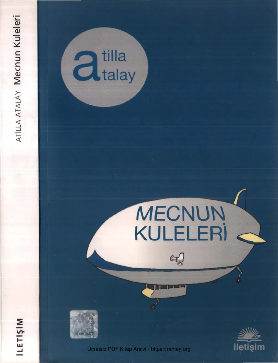Mecnun Kuleleri kapak görseli