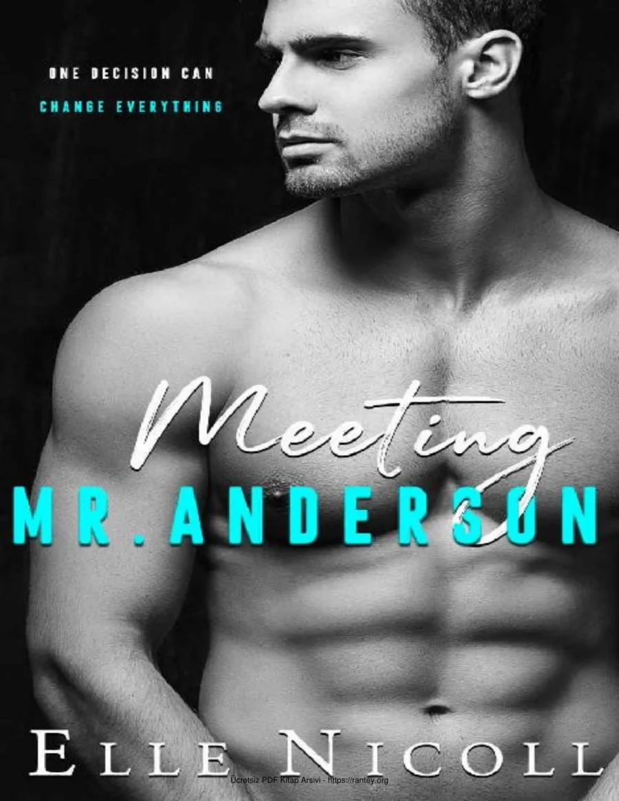 Meeting Mr Anderson kapak görseli