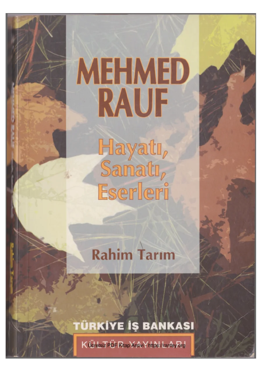 Mehmet Rauf kapak görseli