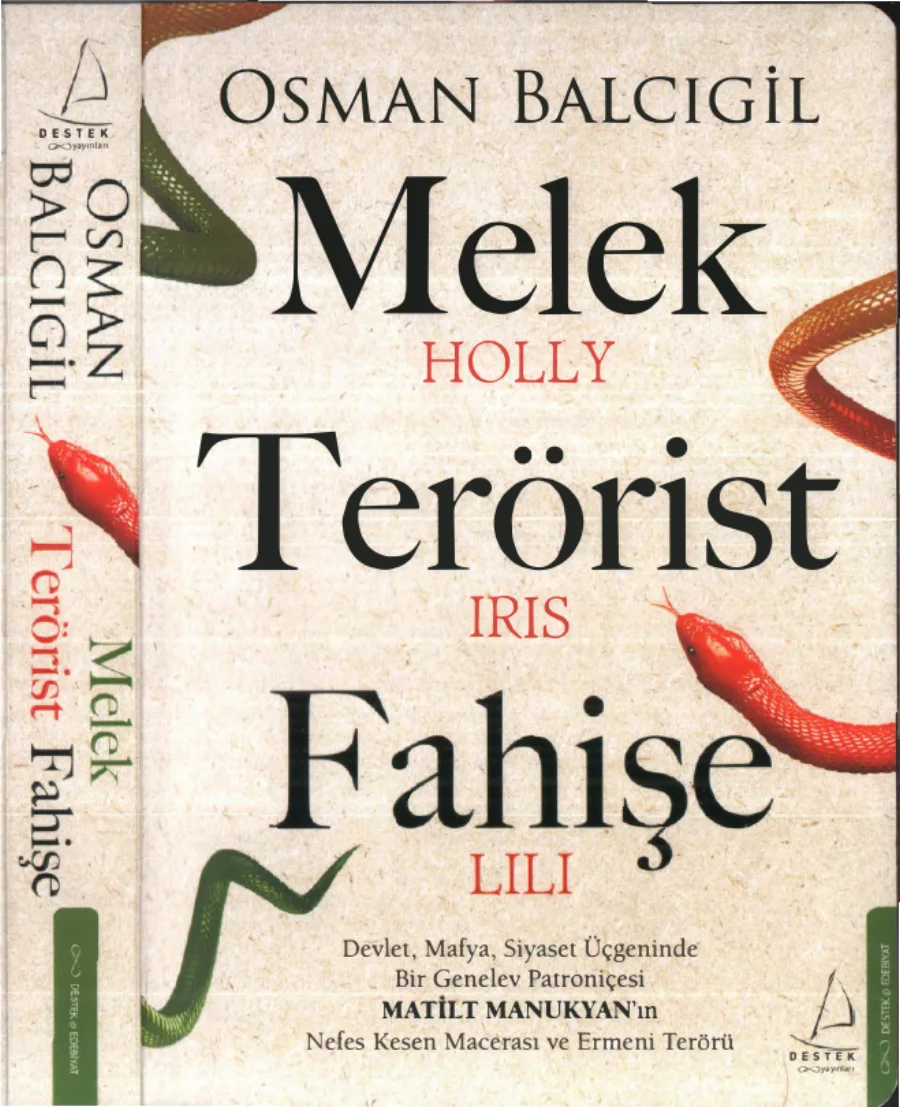 Melek Terörist Fahişe kapak görseli