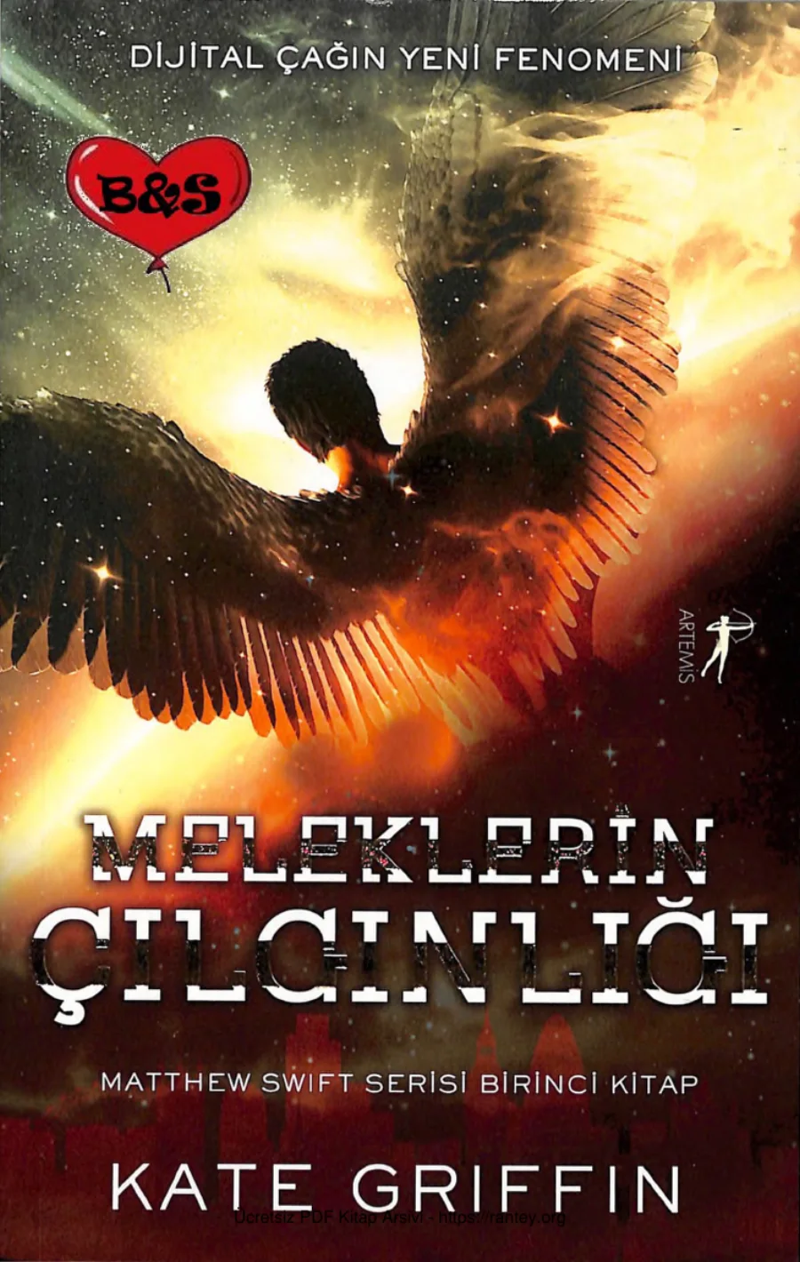 Meleklerin Çılgınlığı kapak görseli