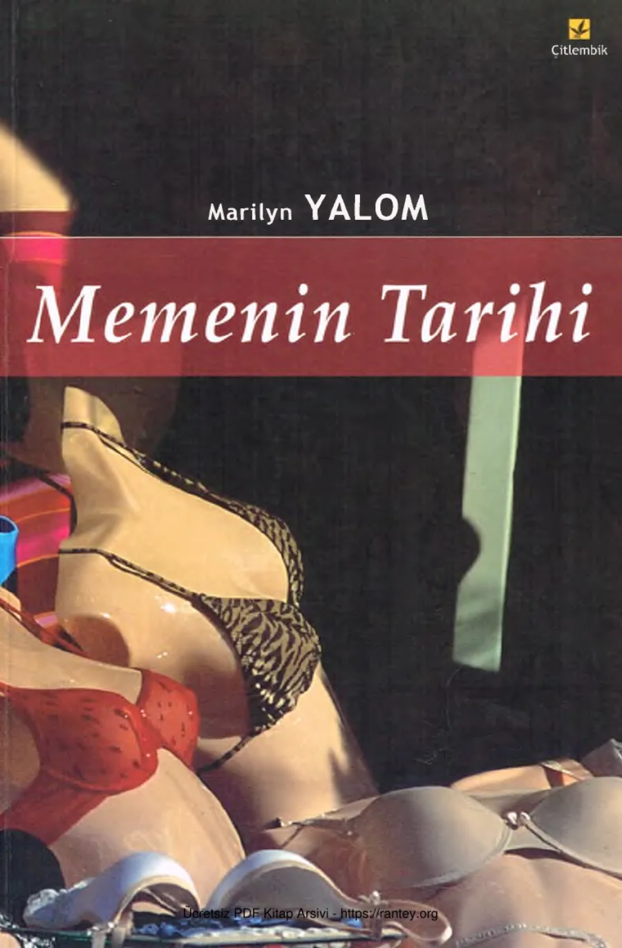 Memenin Tarihi kapak görseli