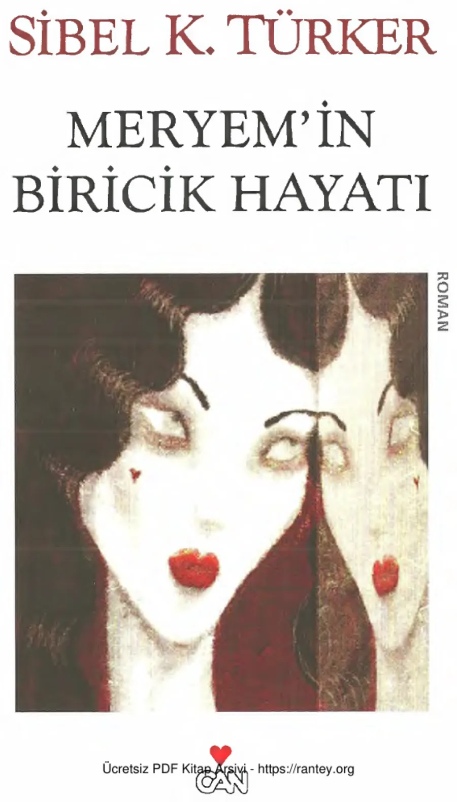 Meryemin Biricik Hayatı kapak görseli