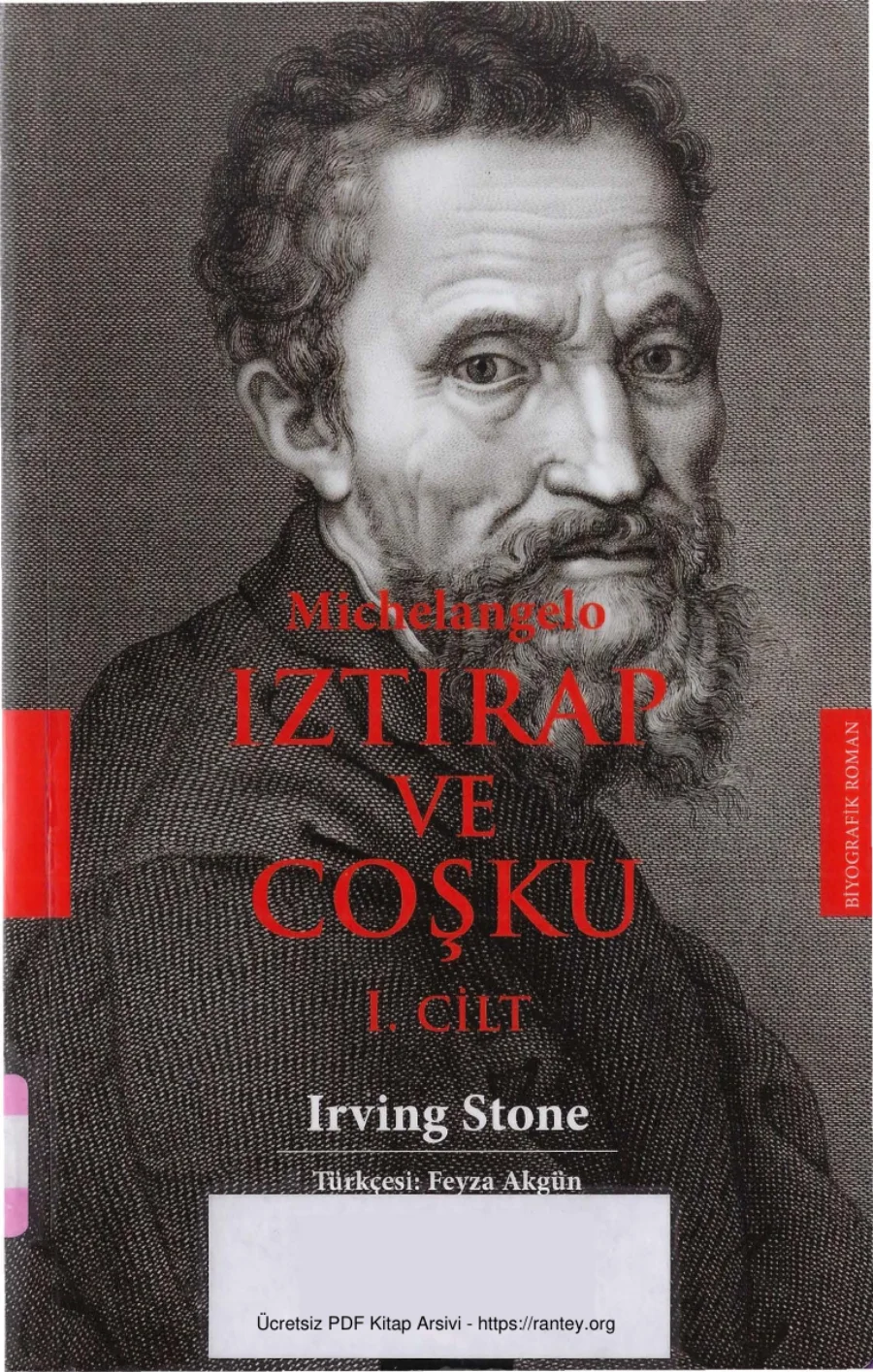 Michelangelo Iztırap ve Coşku Cilt 1 Cümle Yayınları kapak görseli