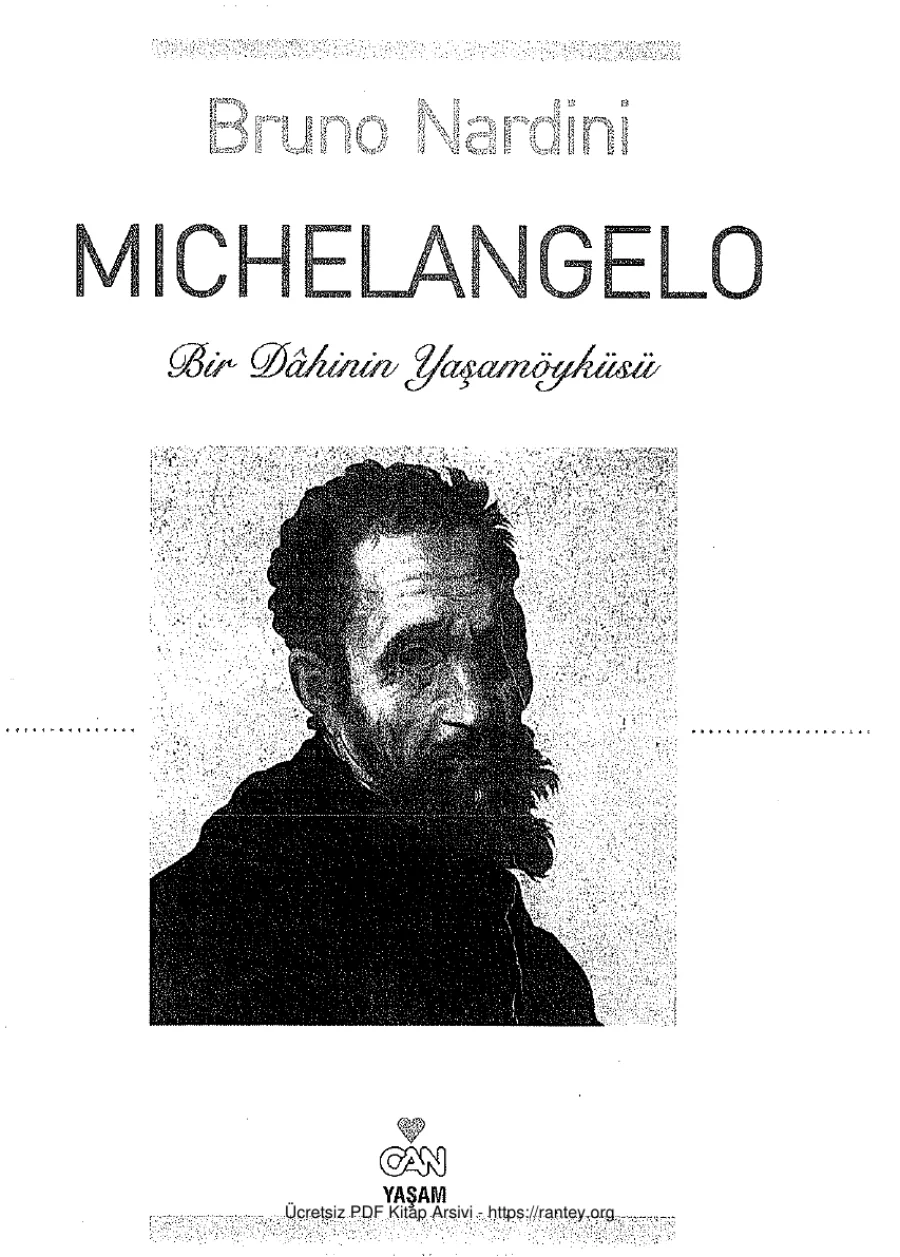 Michelangelo kapak görseli