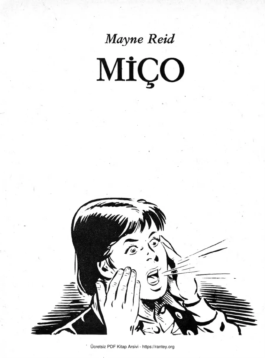 Miço kapak görseli