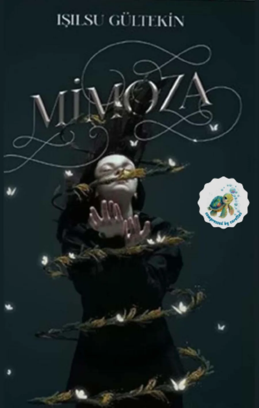 Mimoza kapak görseli