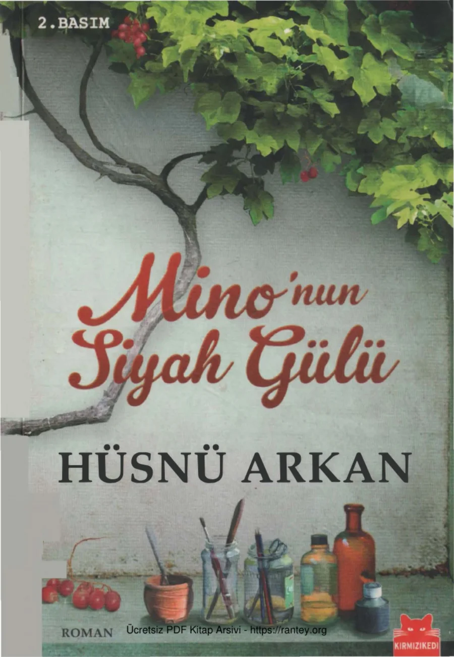 Minonun Siyah Gülü kapak görseli