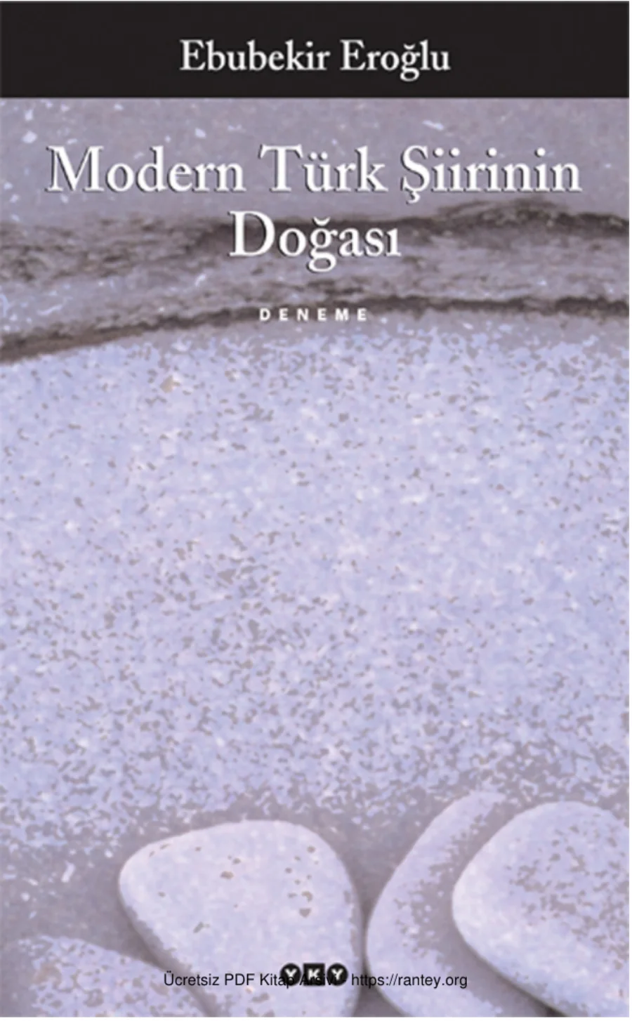 Modern Türk Şiirinin Doğası kapak görseli