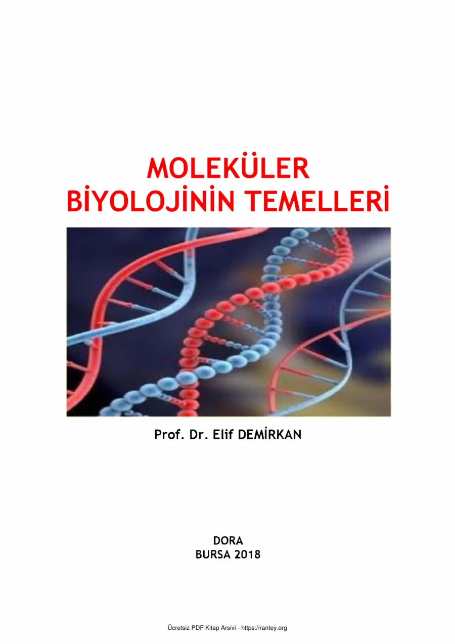 Moleküler Biyolojinin Temelleri Dora Yayınları kapak görseli