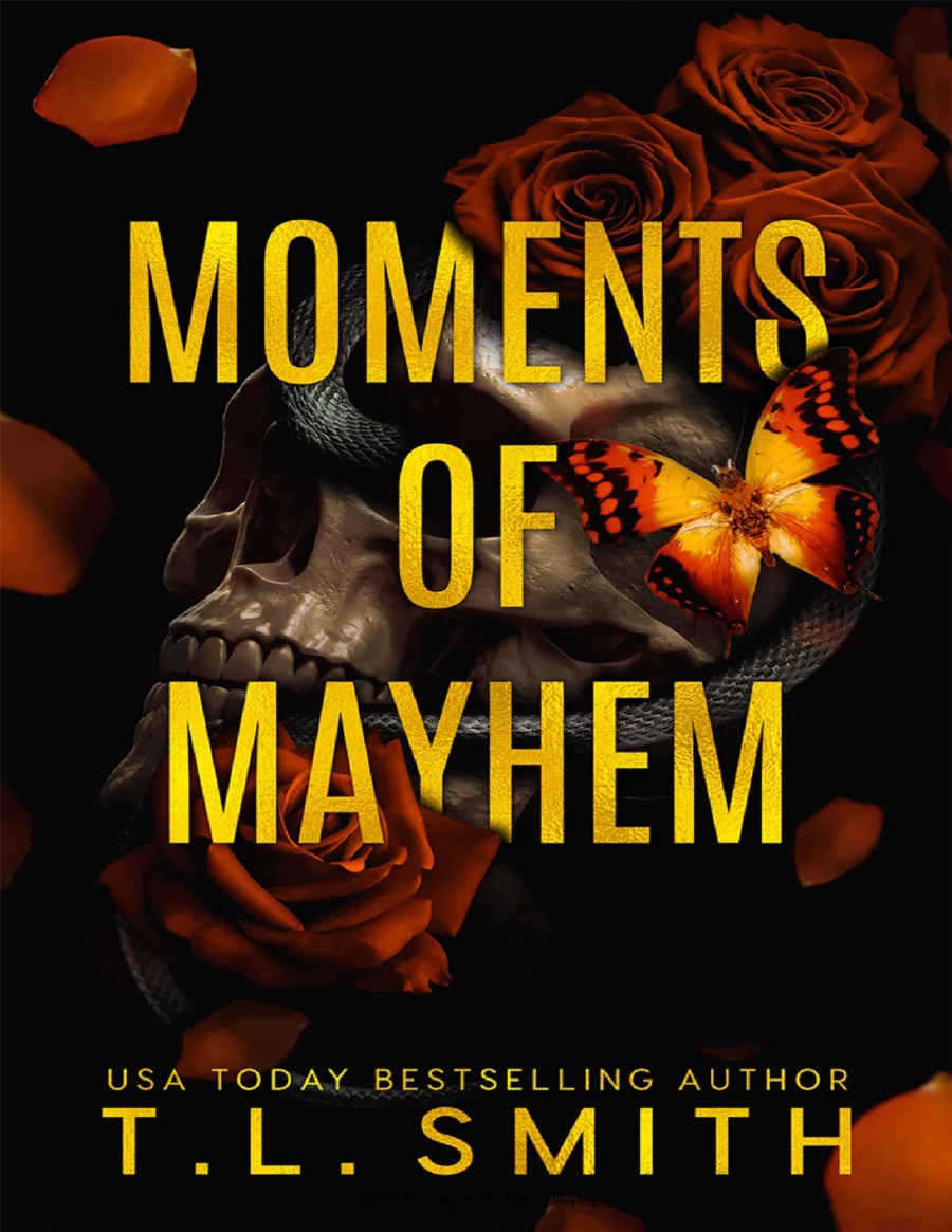 Moments of Mayhem kapak görseli