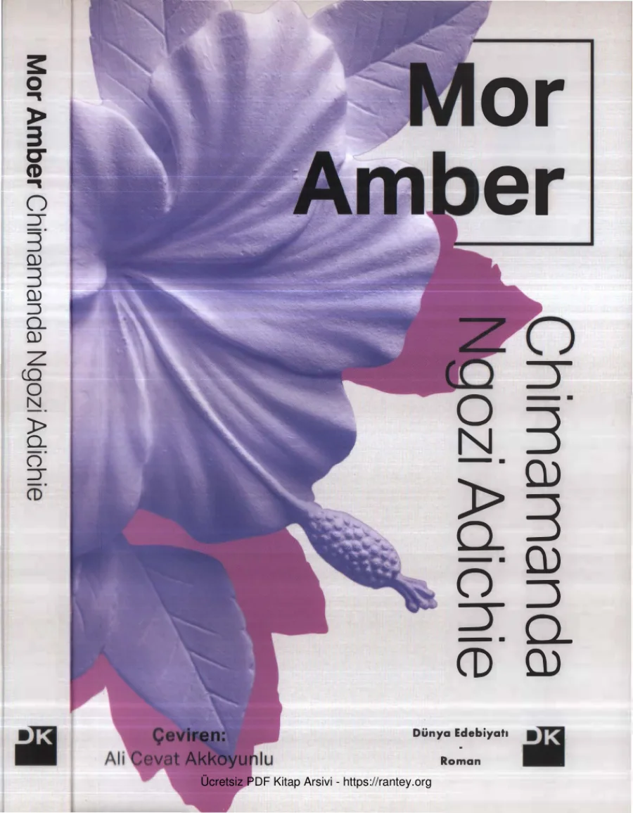 Mor Amber kapak görseli
