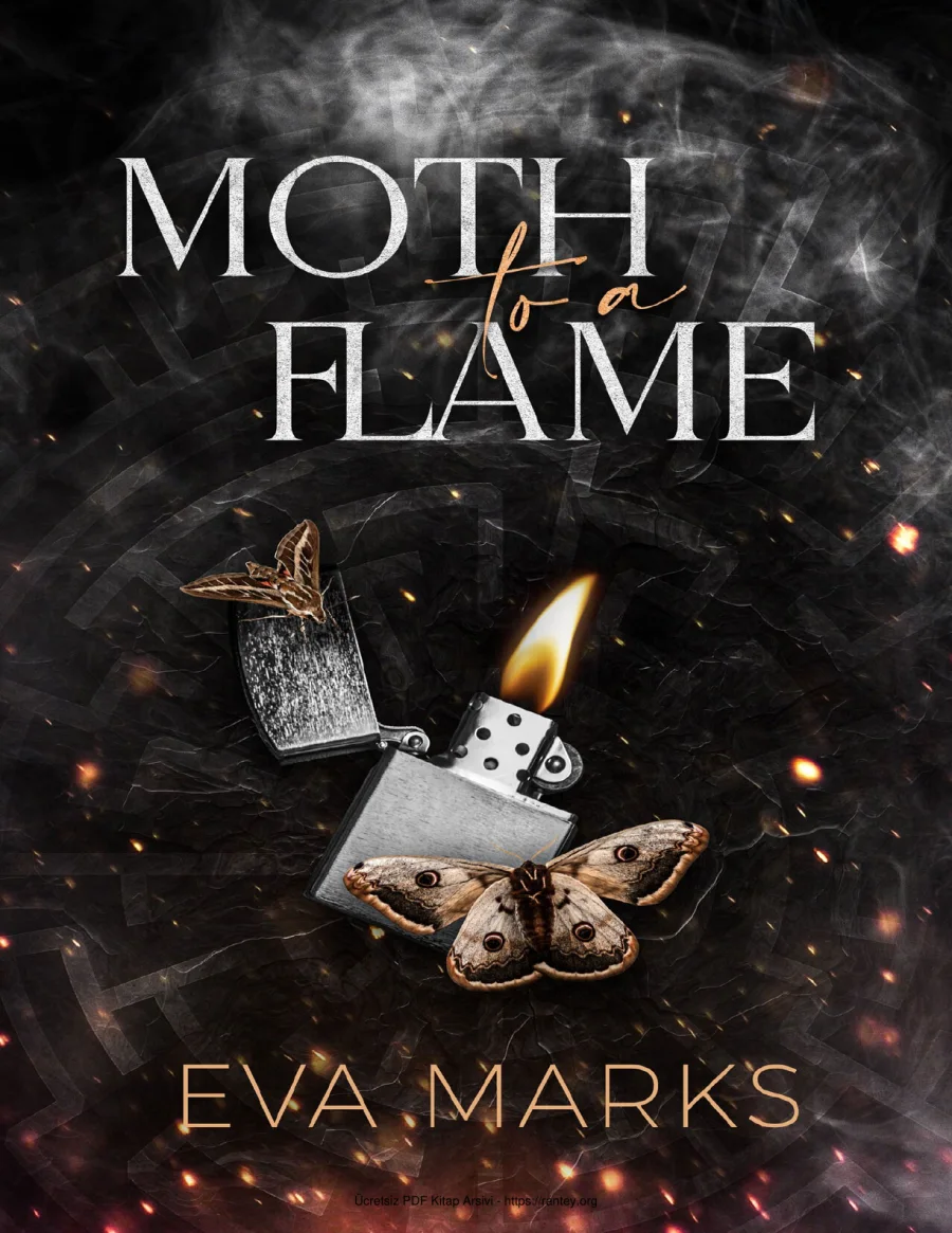 Moth to a Flame kapak görseli