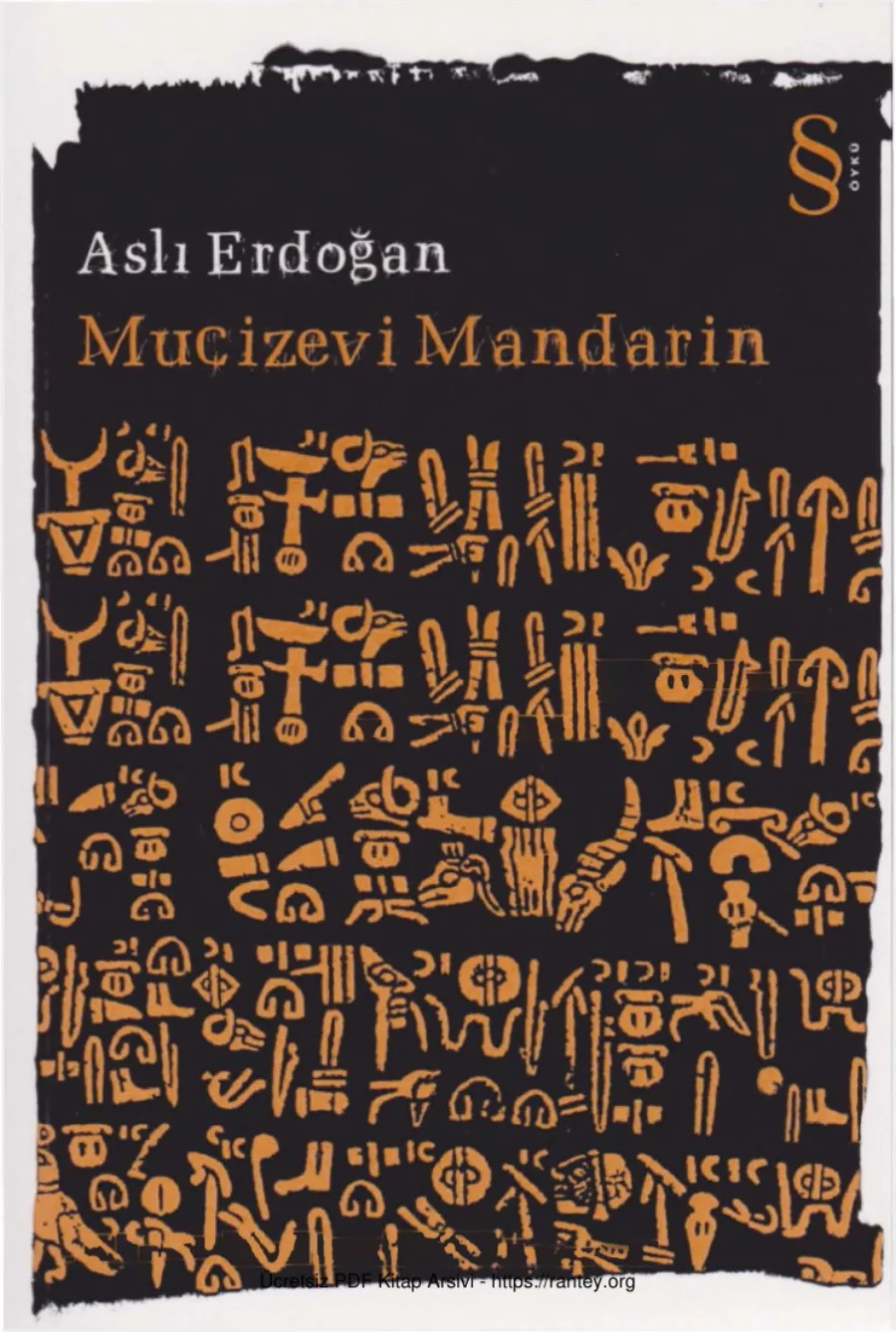 Mucizevi Mandarin kapak görseli