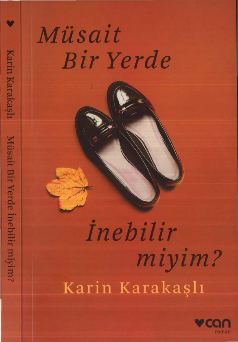 Müsait Bir Yerde İnebilir miyim kitap kapağı