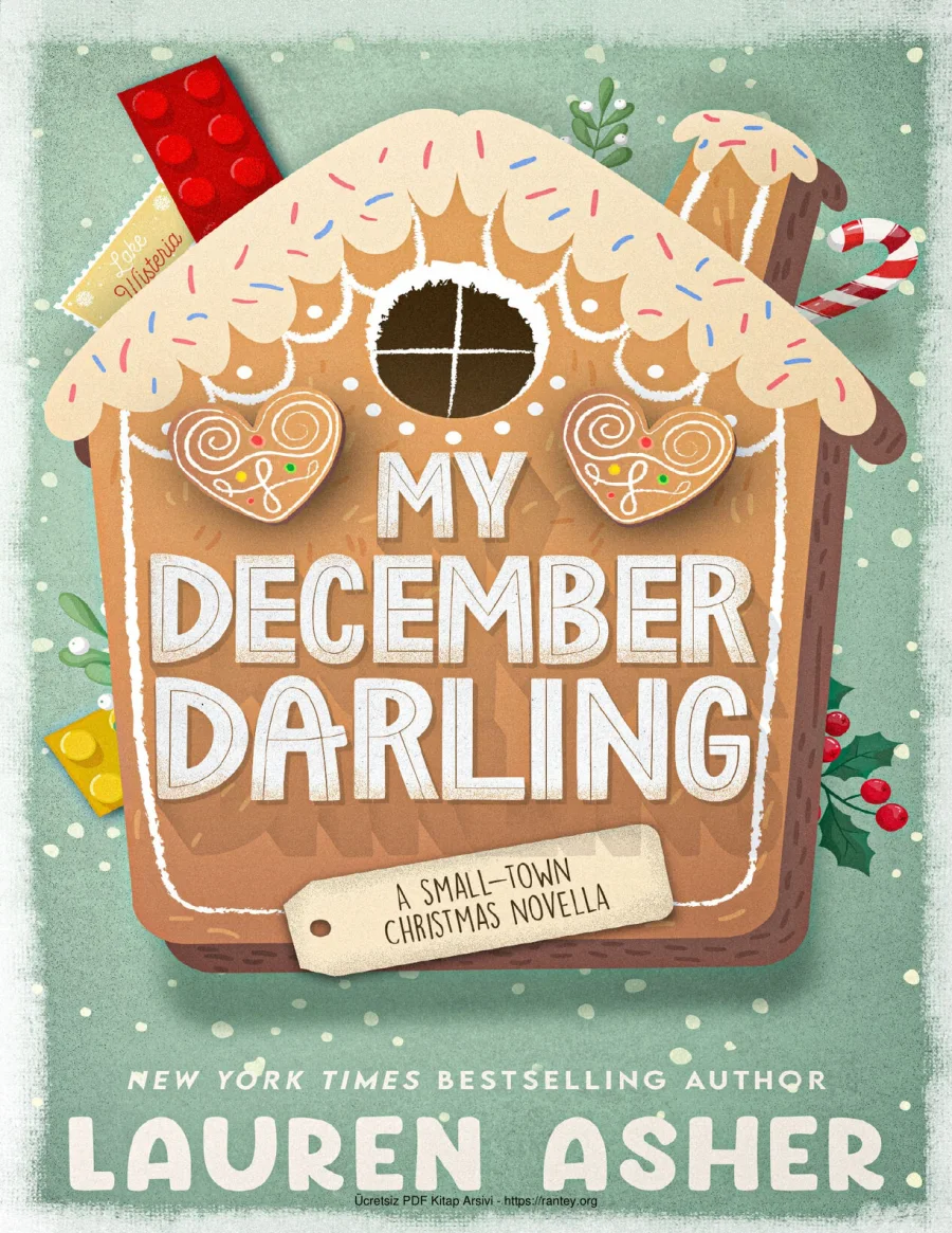 My December Darling kapak görseli