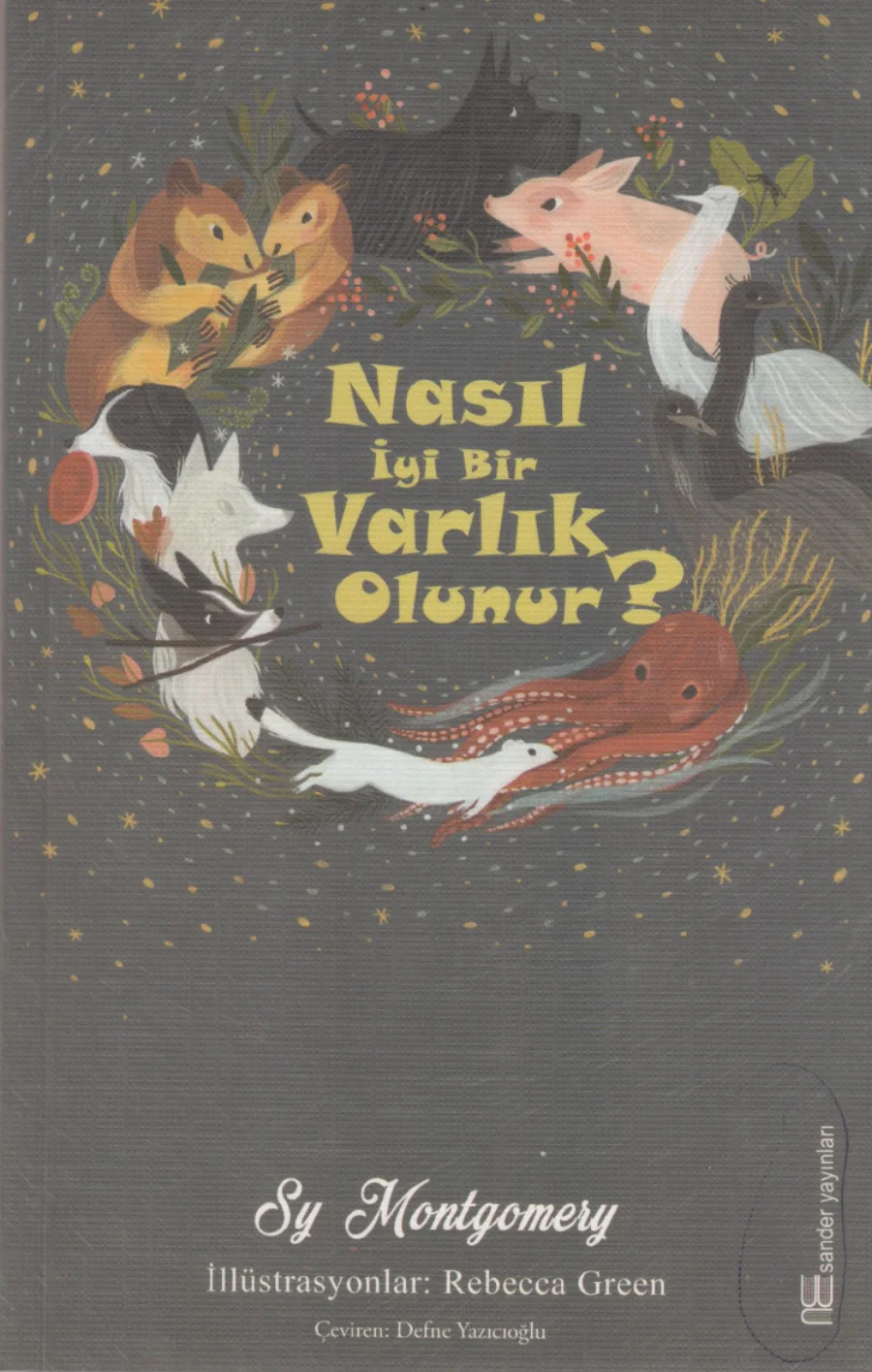 Nasıl İyi Bir Varlık Olunur kitap kapağı