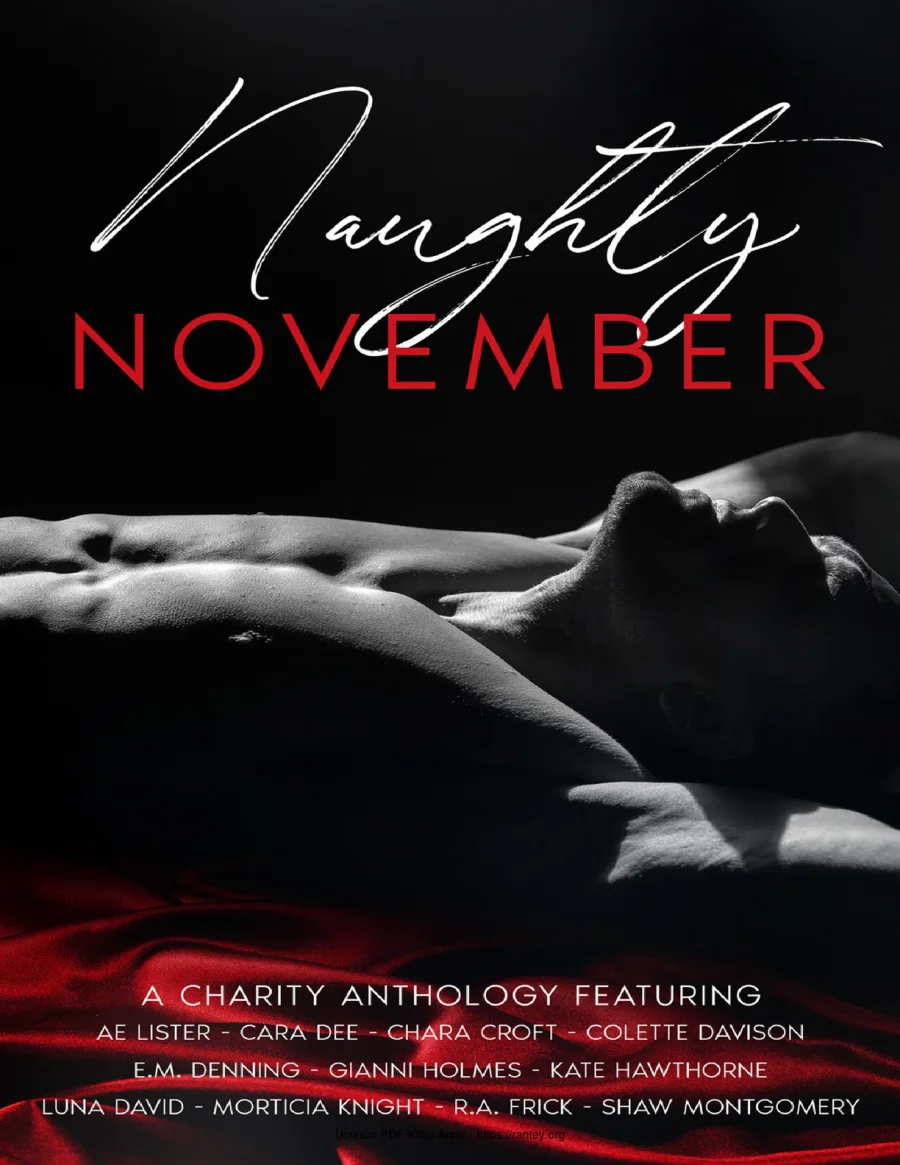 Naughty November Anthology kapak görseli