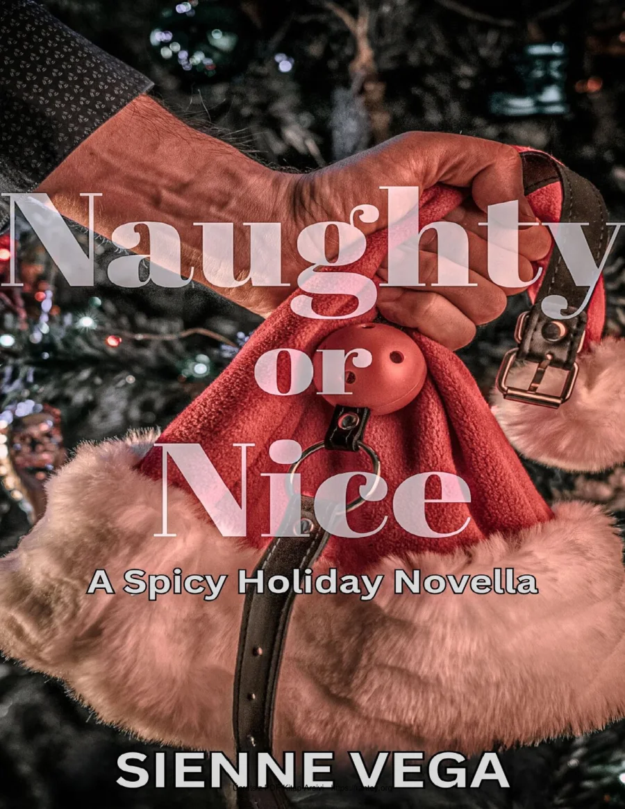 Naughty or Nice kapak görseli