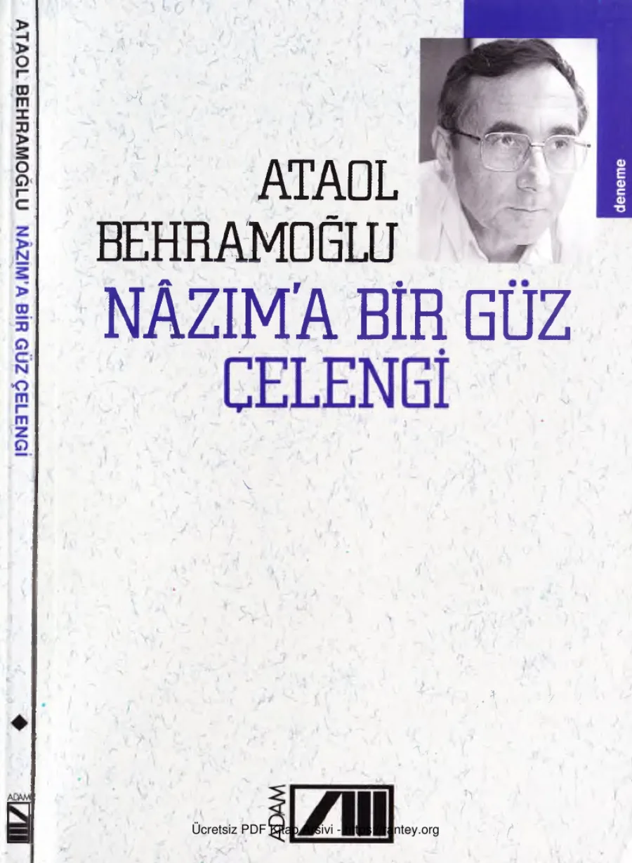 Nazıma Bir Güz Çelengi kapak görseli