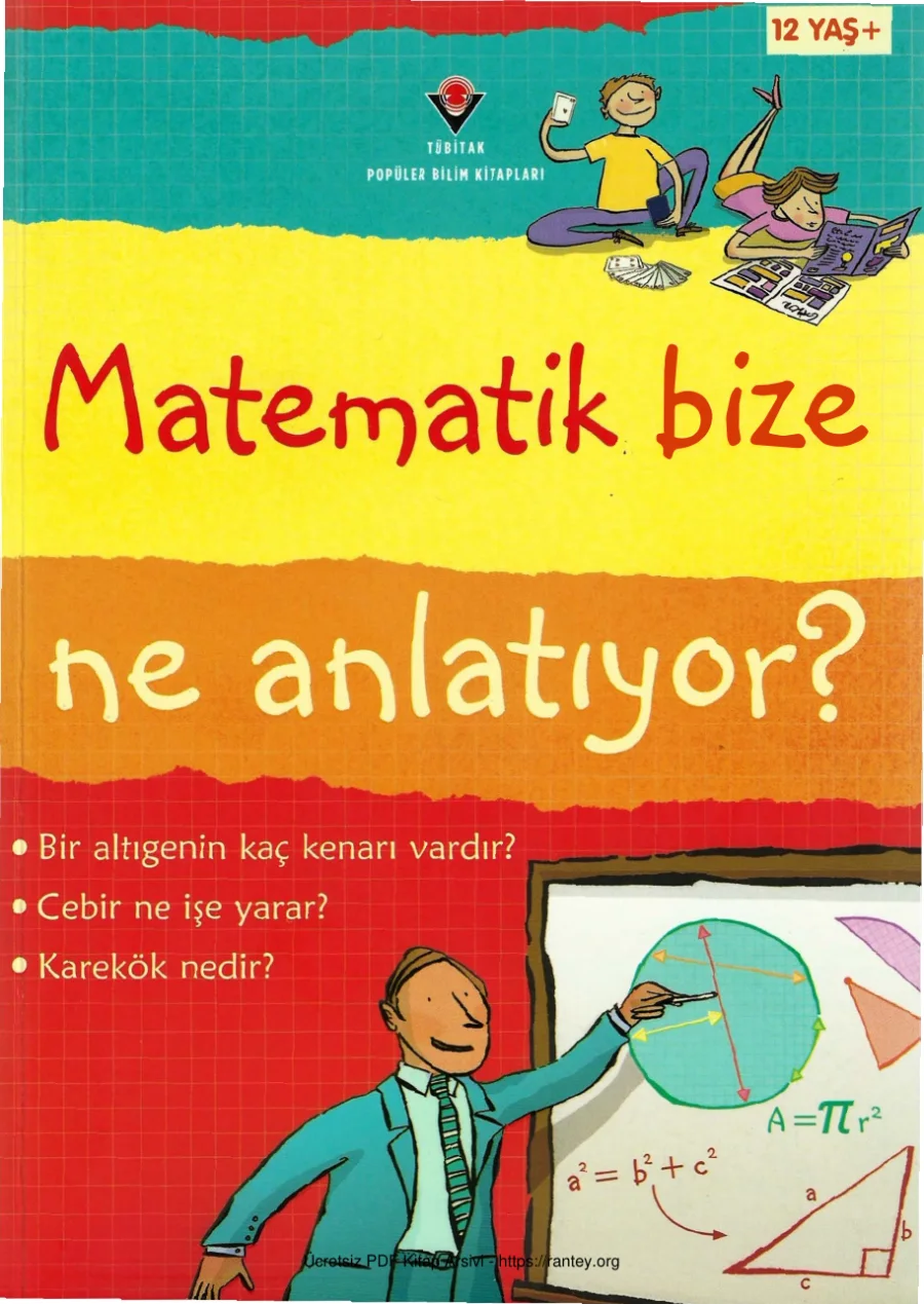 Ne Anlatıyor kapak görseli