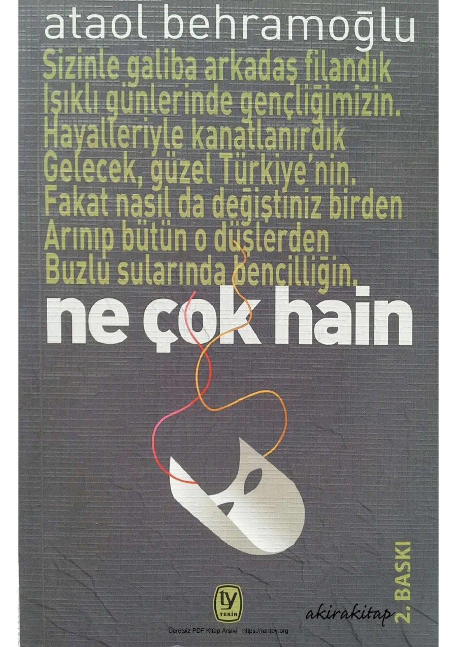 Ne Çok Hain kapak görseli