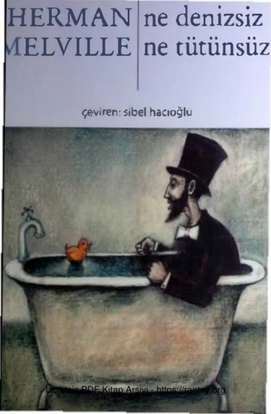 Ne Denizsiz Ne Tütünsüz kapak görseli