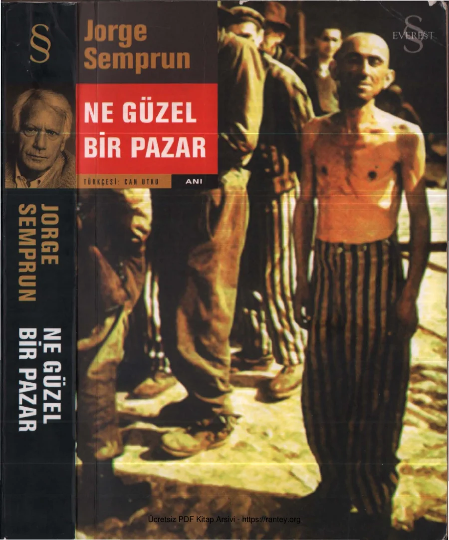 Ne Güzel Bir Pazar kapak görseli