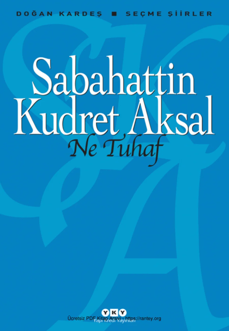 Ne Tuhaf kapak görseli