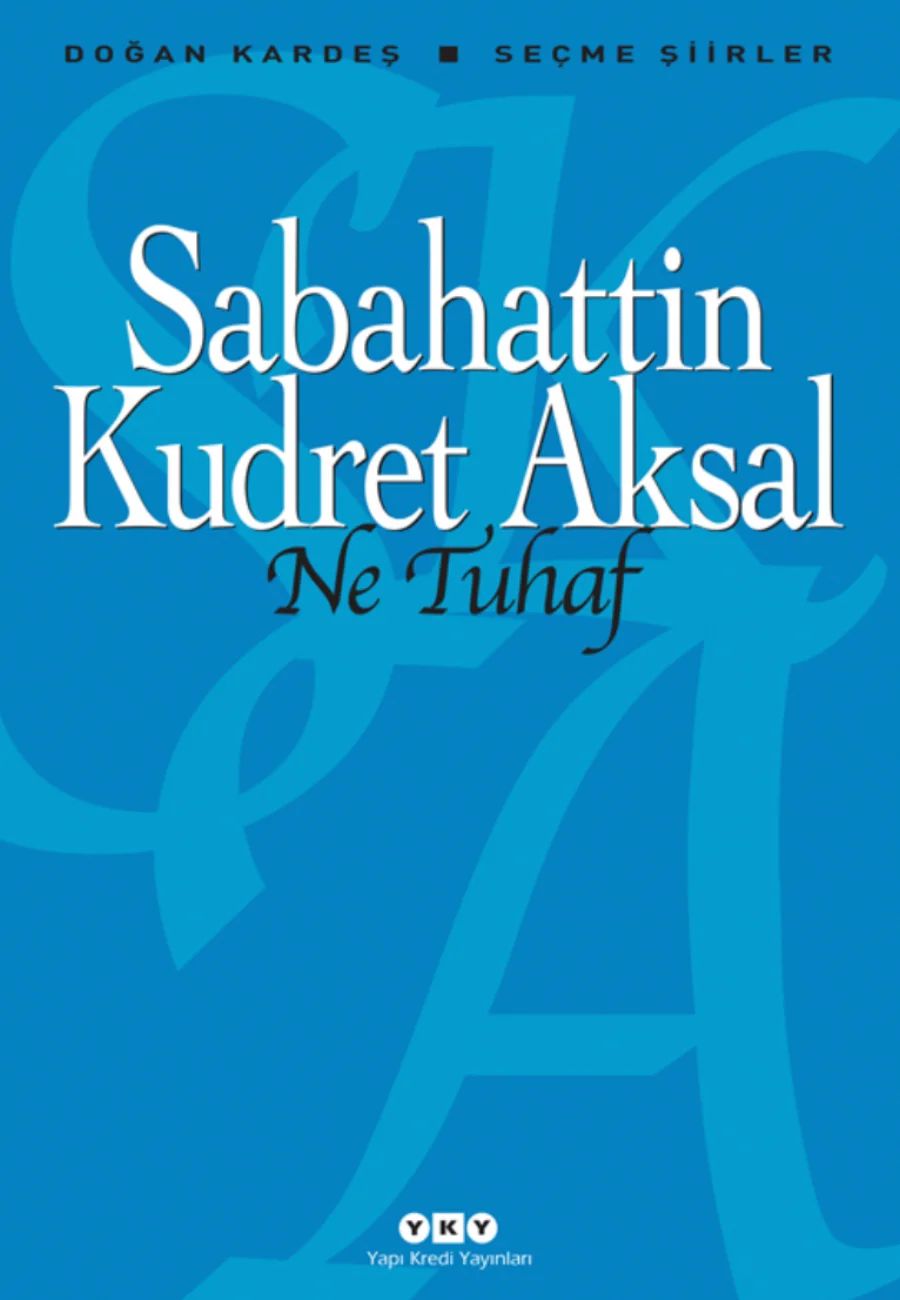 Ne Tuhaf: Seçme Şiirler kapak görseli