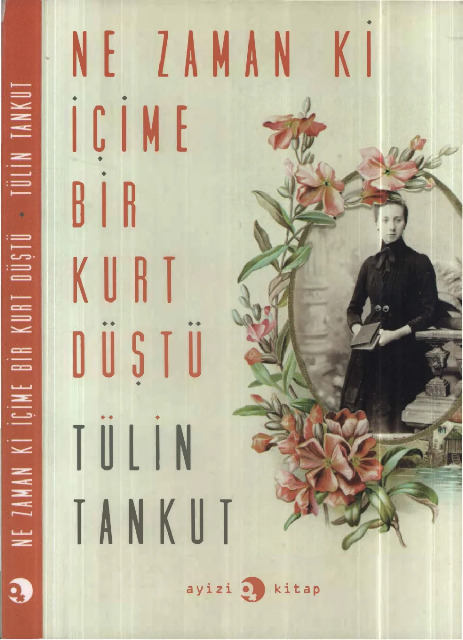 Ne Zaman İçime Bir Kurt Düştü kapak görseli