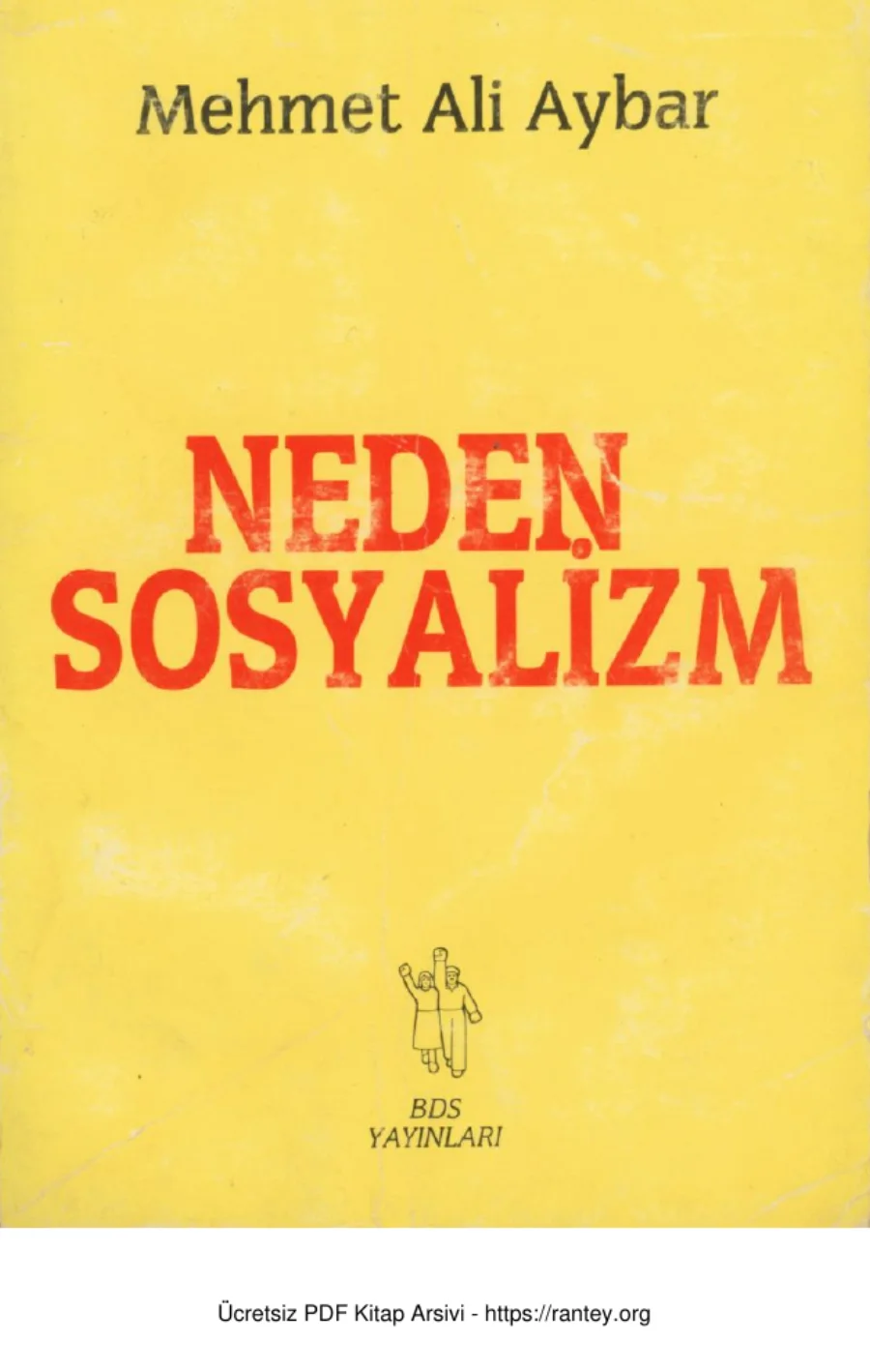 Neden Sosyalizm kapak görseli