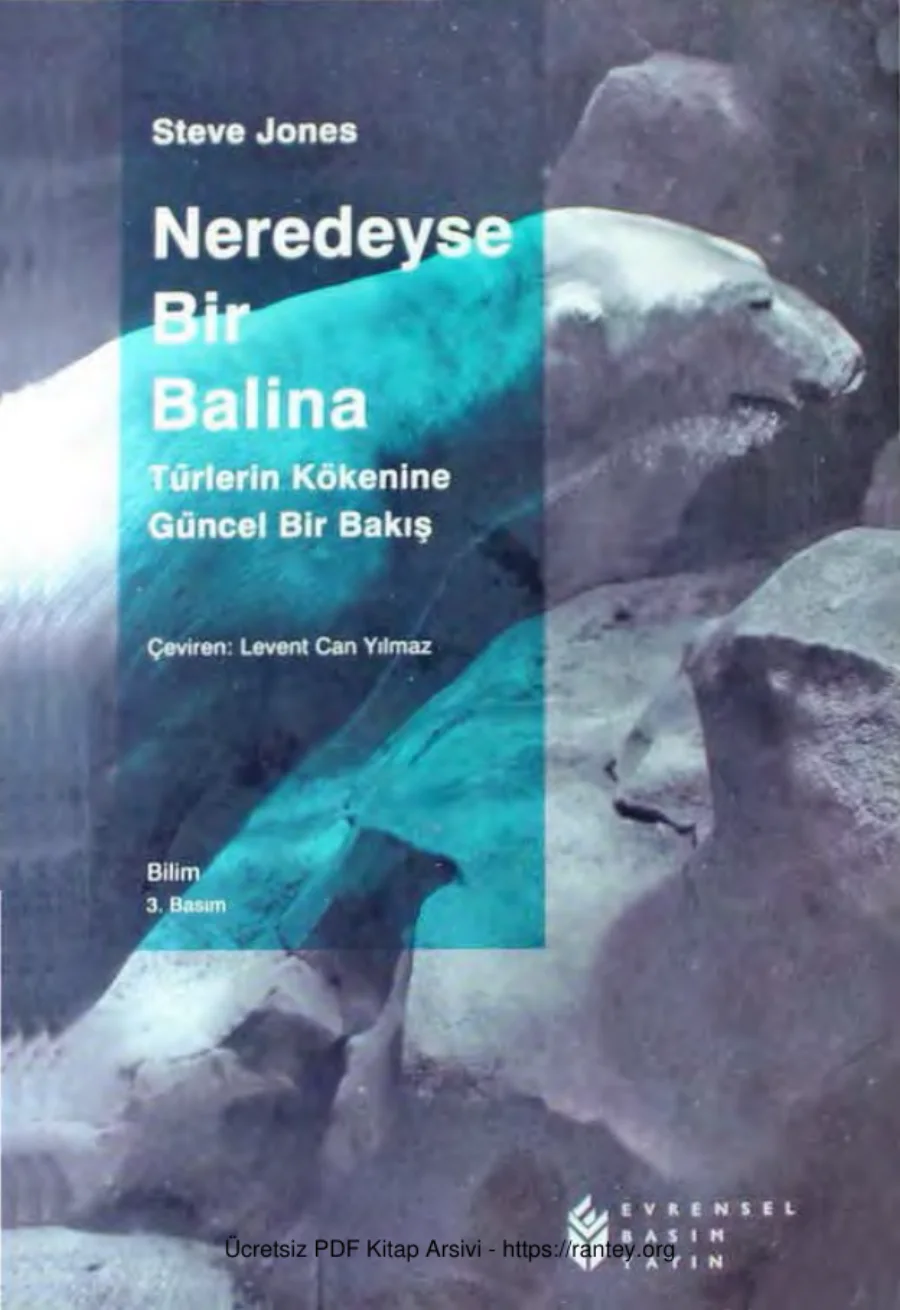 Neredeyse Bir Balina kapak görseli
