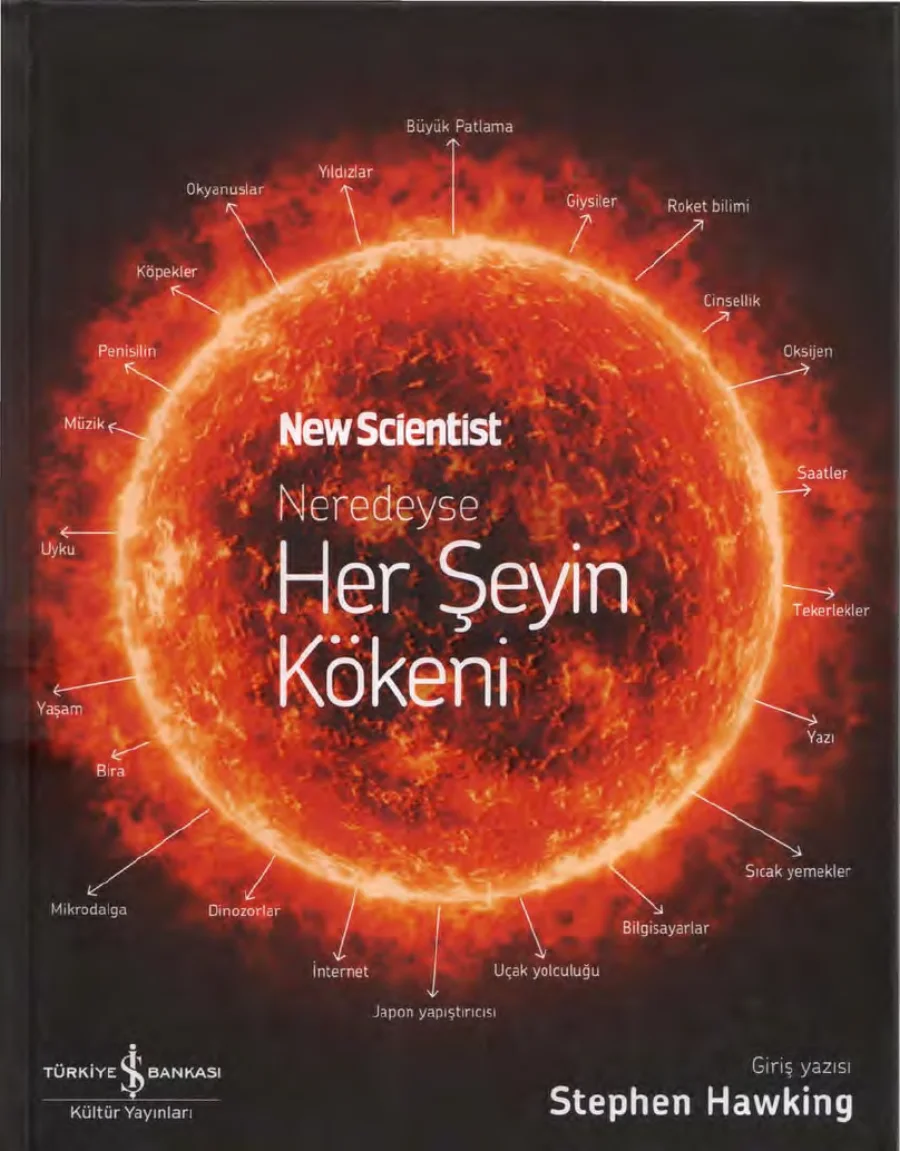 Neredeyse Her Şeyin Kökeni kapak görseli