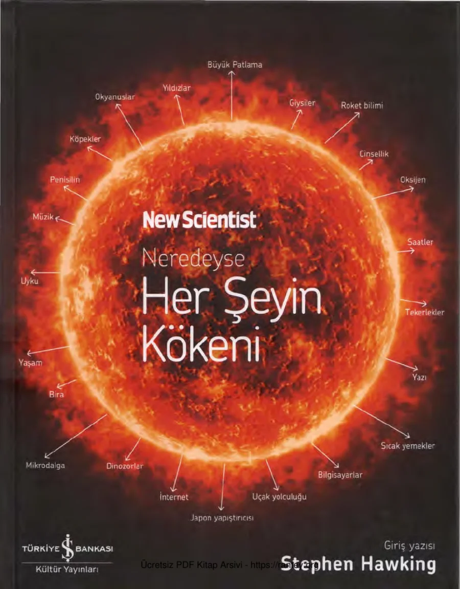 New Scientist Neredeyse Her Şeyin Kökeni kapak görseli
